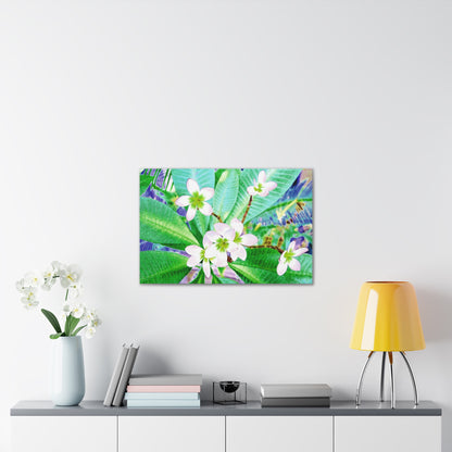 Frangipani Canvas Wall Art — Vibrant Stretched Canvas