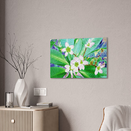 Frangipani Canvas Wall Art — Vibrant Stretched Canvas