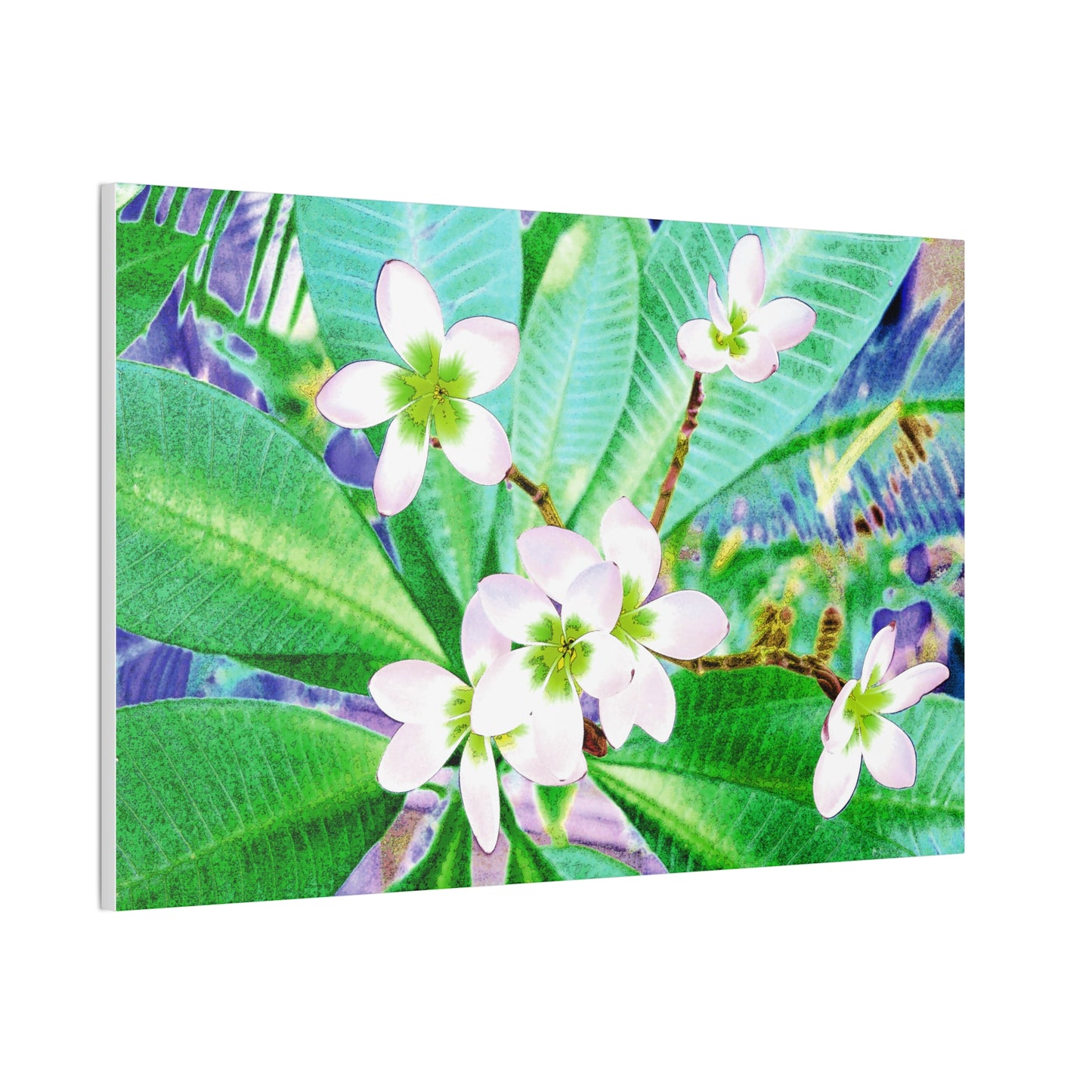 Frangipani Canvas Wall Art — Vibrant Stretched Canvas